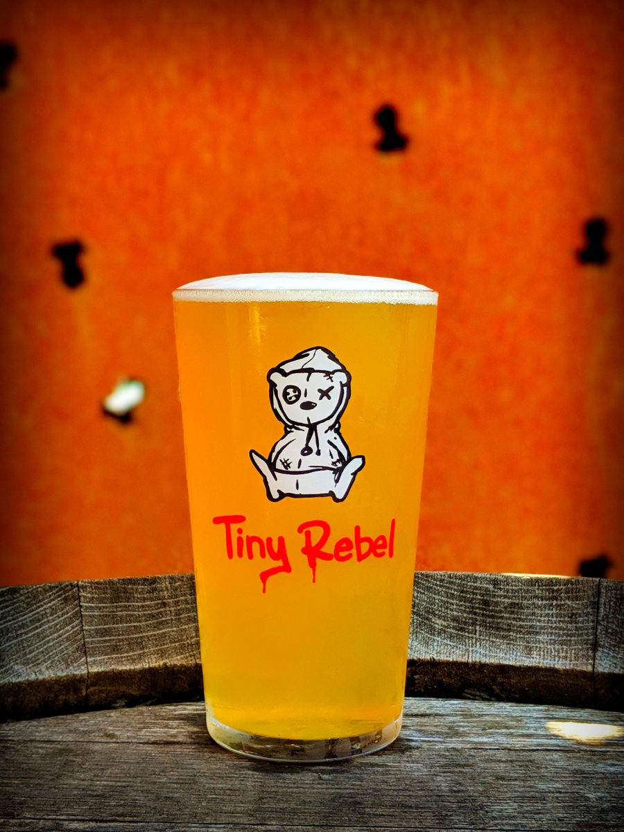 Tiny Rebel Pint Glass - Festival Glass