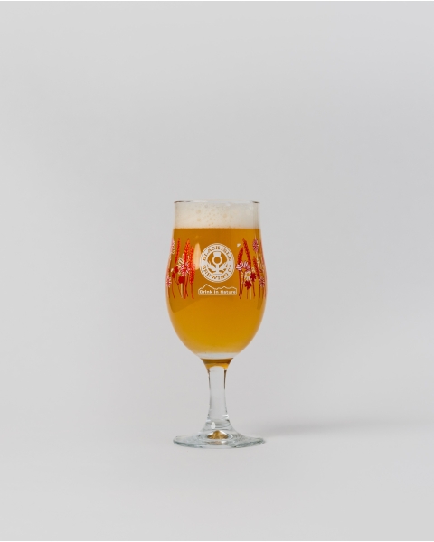 13.5oz  Draft Stemmed Beer Glass