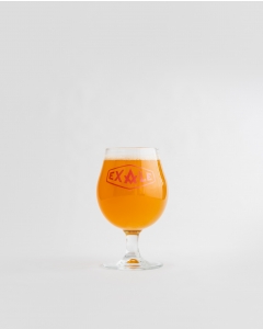 16.5OZ DRAFT STEM GOBLET BEER GLASS EXALE BEER GLASS 