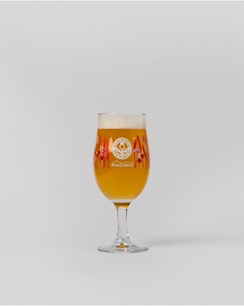13.5oz  Draft Stemmed Beer Glass